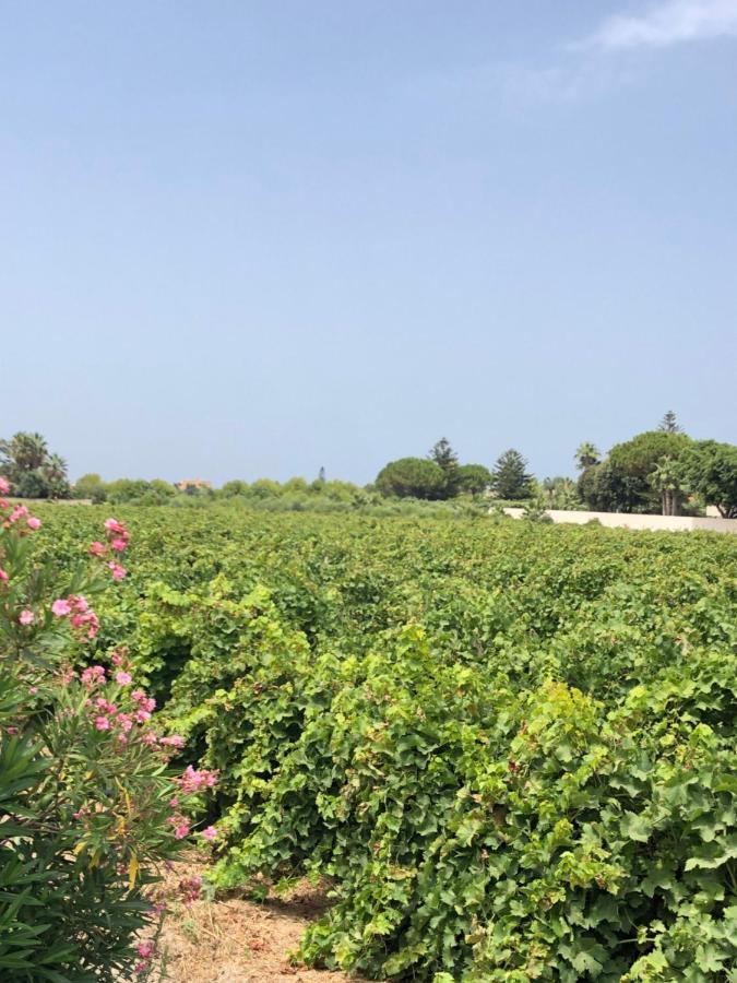 Stella Marina Villa Marsala Bagian luar foto